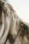 a70f33d60baef86558bbc8c3232ca1a4
