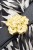 ef7180f845078a879daf07ef070e0d24